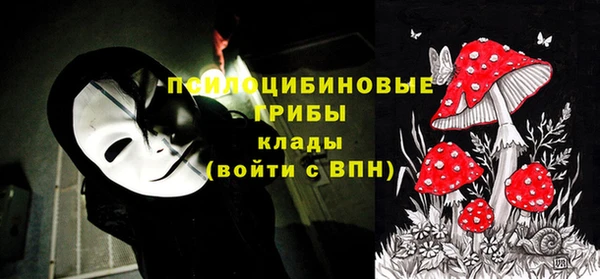 ALPHA PVP Заводоуковск
