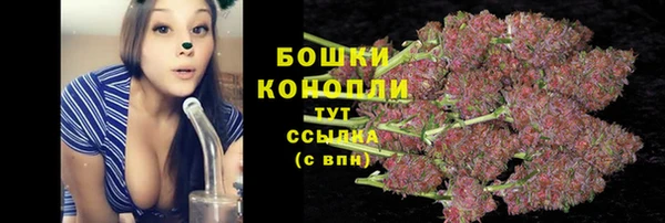ALPHA PVP Заводоуковск